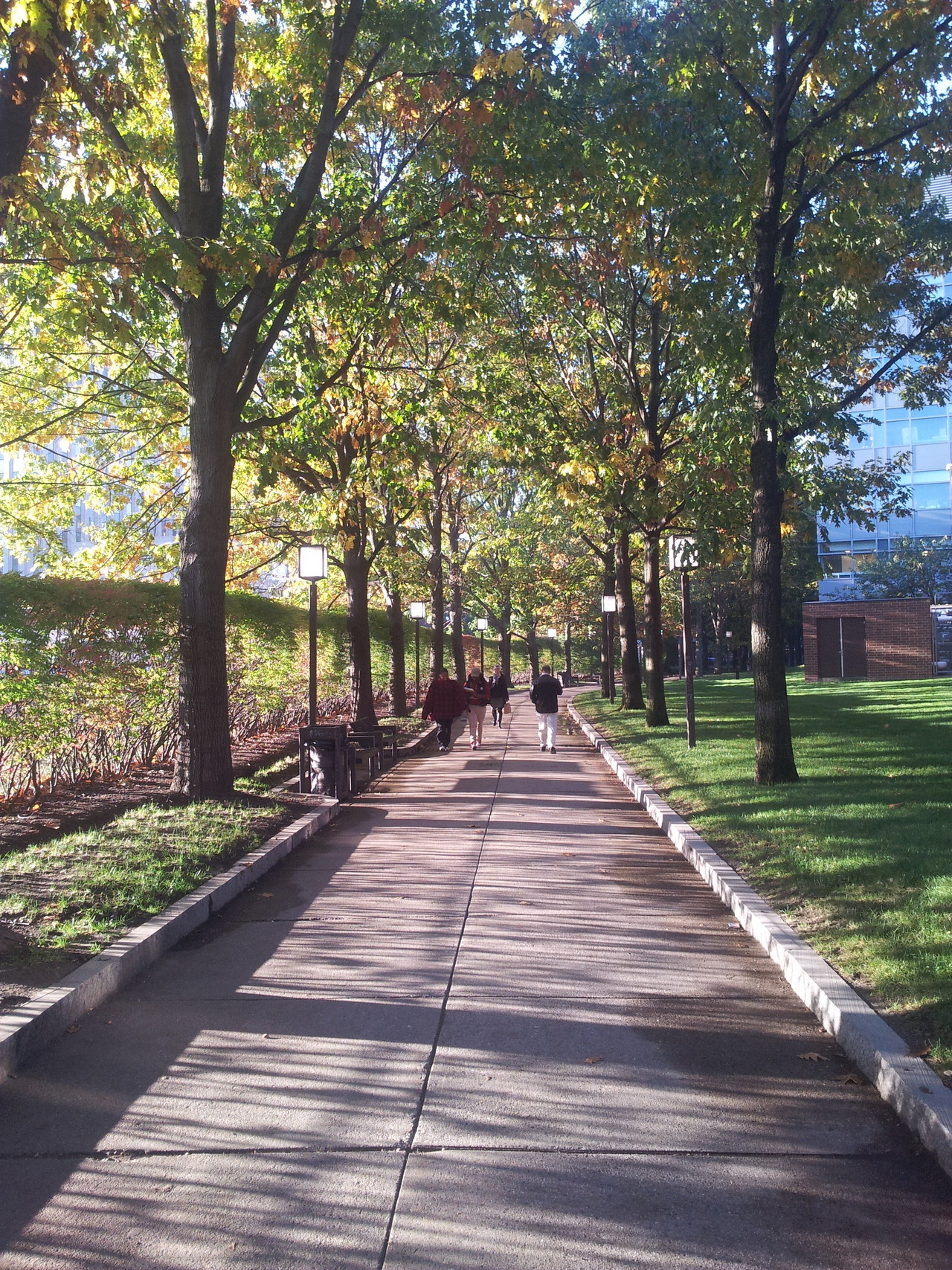 Walking to school in the fall